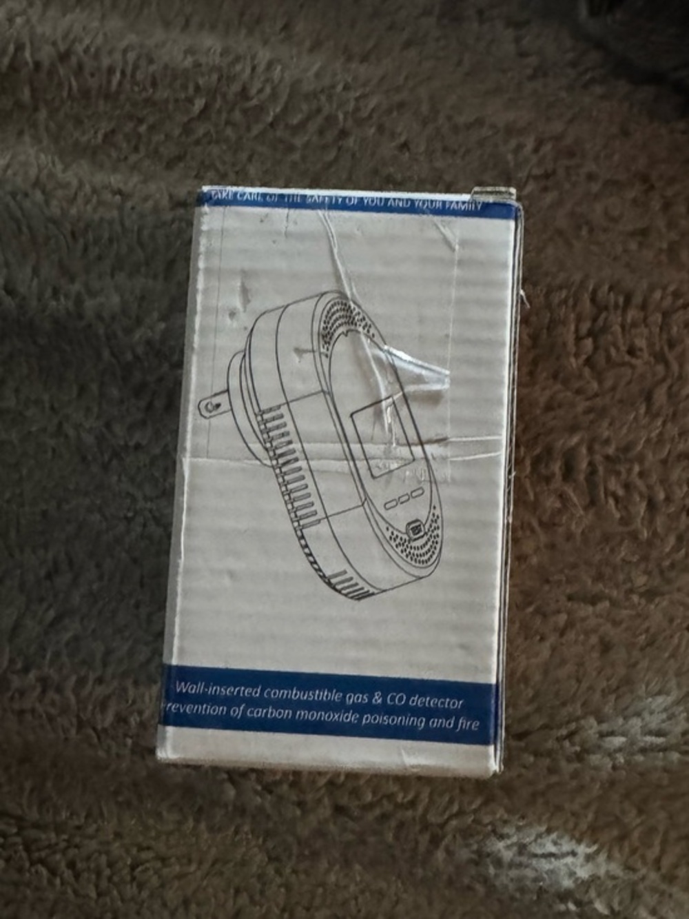 wall-inserted combustible gas and carbon monoxide (CO) detector